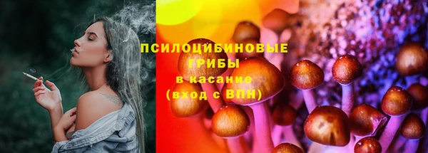 бошки Аркадак
